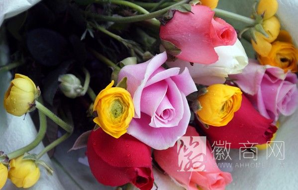合肥鲜花 批发市场
