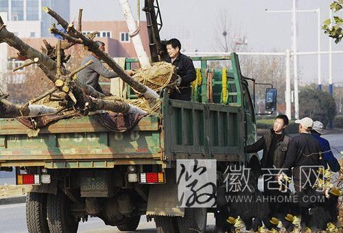 合肥畅通二环工程 望江西路 畅通二环