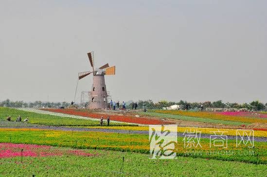 <a href='display.asp?id=9026' target='_blank'>牛角大圩</a>