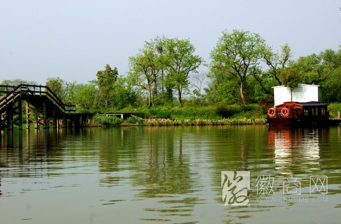 合肥滨湖湿地公园 滨湖湿地森林公园 合肥景点