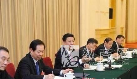 习近平 安徽代表团审议 语音技术