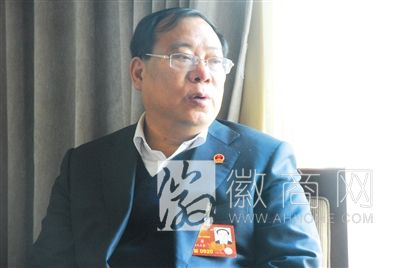 安徽 <a href='display.asp?id=13233' target='_blank'>两会</a>代表