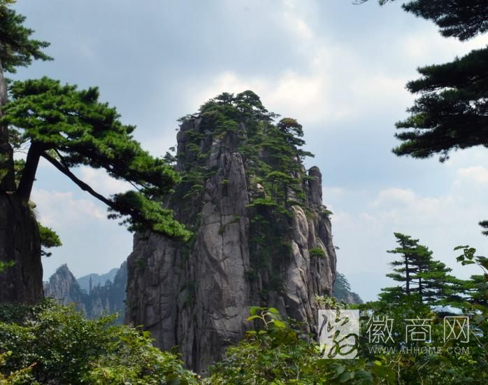 安徽<a href='display.asp?id=12239' target='_blank'>黄山</a>、<a href='display.asp?id=14018' target='_blank'>九华山</a>、<a href='display.asp?id=18089' target='_blank'>天柱山</a>或互通旅游轻轨