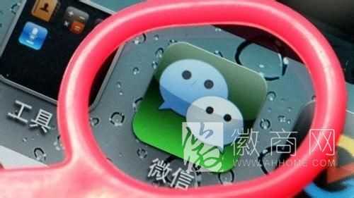 大学生用微信卖快餐 月收入10万元获风投