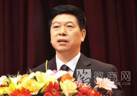 顾建国：<a href='display.asp?id=14145'  target='_blank'>马钢</a>（集团）控股有限公司董事长