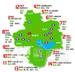 合肥春季赏花 线路图