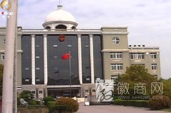 安徽利辛县 豪华办公楼