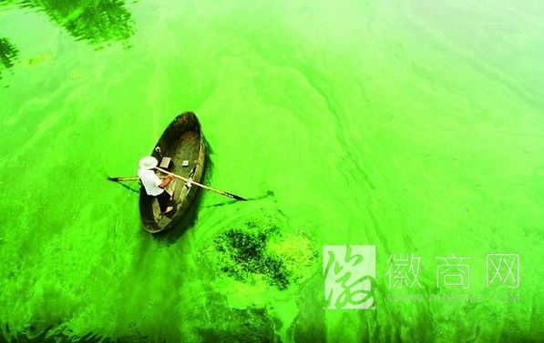巢湖蓝藻 水华预警应急监测