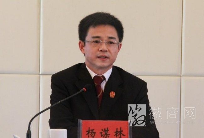 <a href='display.asp?id=14017'  target='_blank'>宣城</a>市中级人民法院院长 杨谋林