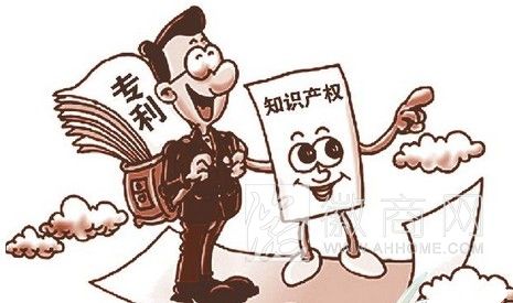知识产权保护 白皮书