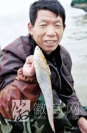 <a href='display.asp?id=11916' target='_blank'>芜湖</a>刀鱼 长江刀鱼