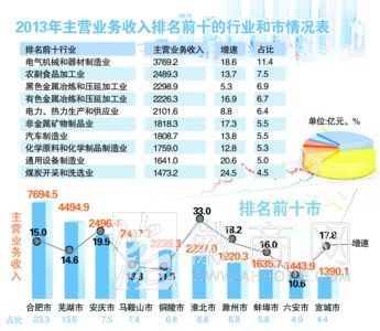 2013安徽工业十大行业 排行榜