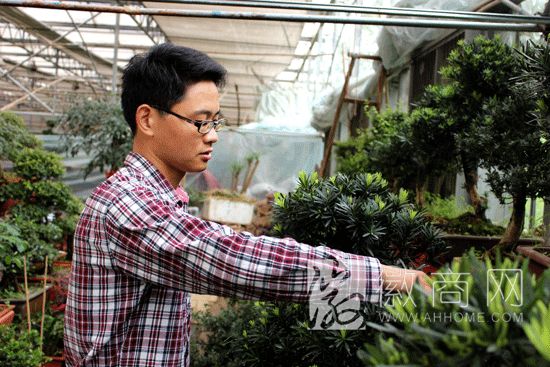 周武：<a href='display.asp?id=14024'  target='_blank'>肥西</a>80后大学生卖盆栽年收入20万