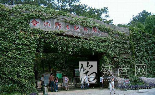 合肥野生动物园