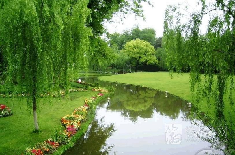 合肥北城东瞿湿地公园二期规划初案完成