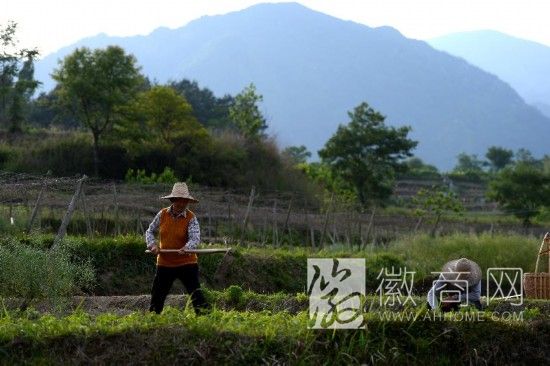聚土地 绩溪