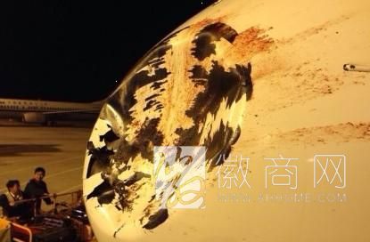 海航航班高空疑遭鸟击 机头被撞凹紧急降落合肥新桥机场