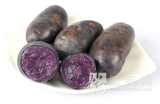 颍上县 紫土豆种植