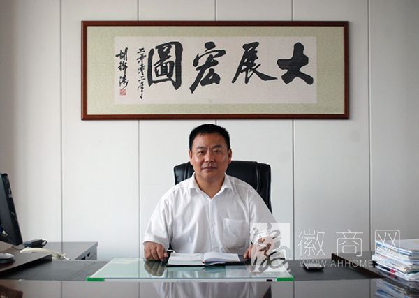 潘劲松 安徽中科电气自动化有限公司