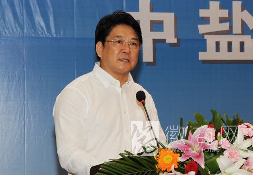 朱枫 中盐安徽红四方股份公司 中盐红四方朱枫