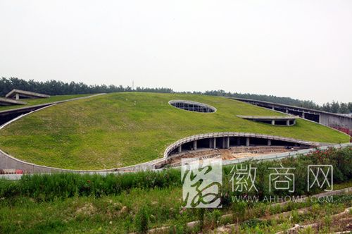 合肥滨湖湿地公园游客接待中心造型似球场