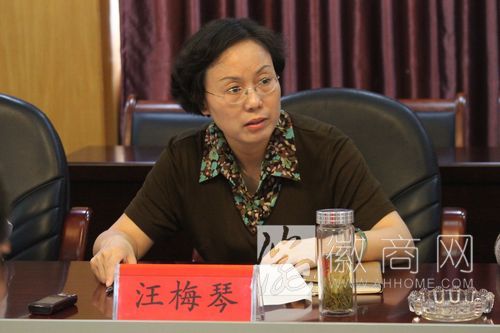无为县副县长汪梅琴 受贿