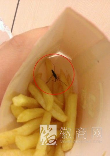 <a href='display.asp?id=11445'  target='_blank'>阜阳</a> 麦当劳吃出蟑螂