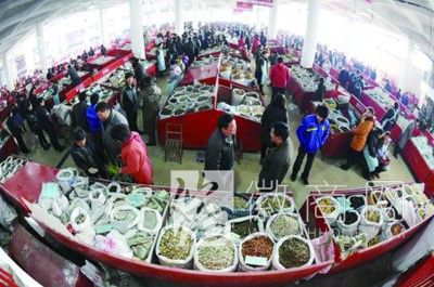 2013年药品流通行业运行统计分析报告 亳州市中药材交易中心
