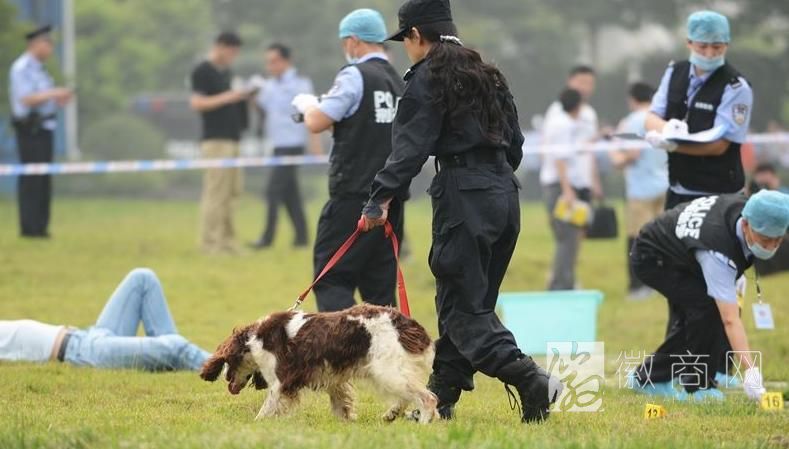 合肥反恐实战演习