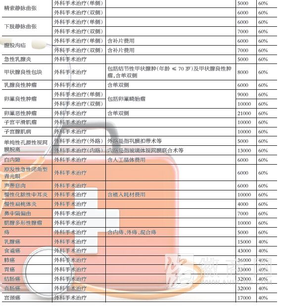 安徽省级医院 常见病按病种付费