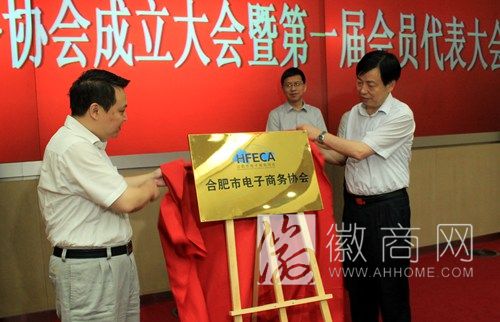合肥市电子商务协会正式成立