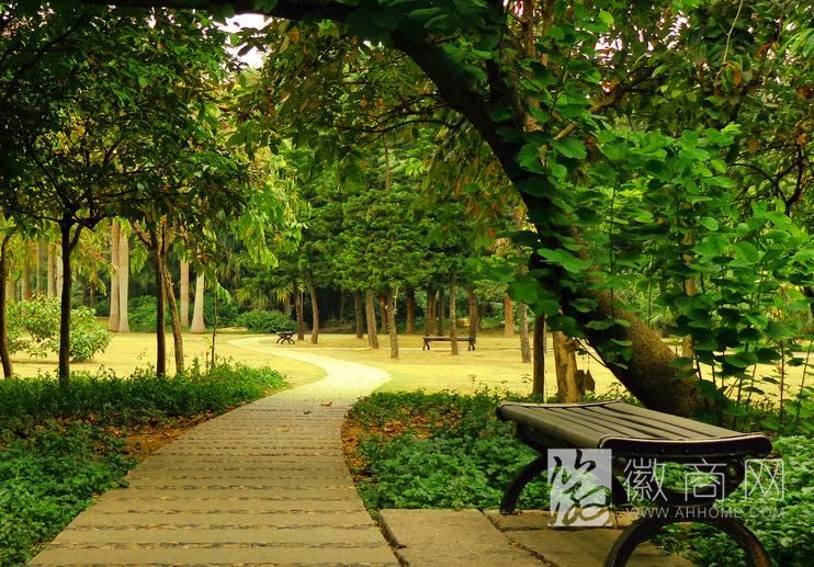 合肥北城将建紫桐公园：面积1.7万方 工期约8个月