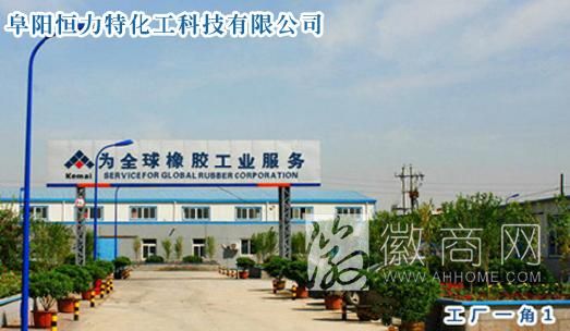 安徽阜阳恒力特化工科技有限公司