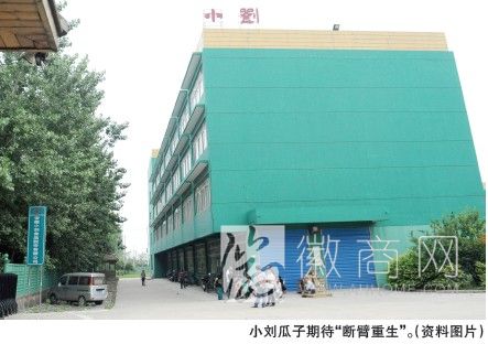 小刘瓜子拍卖 小刘食品