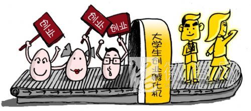安徽研究生黄其永创业&ldquo;绿色养鸡&rdquo; 年销售额200万