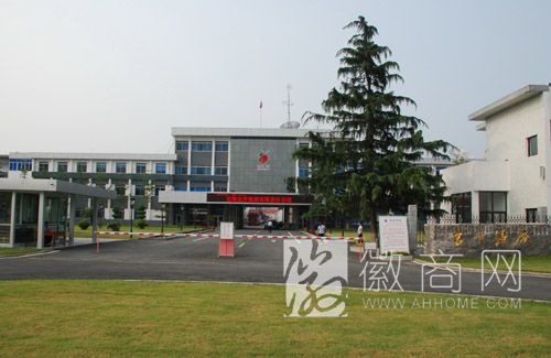 古井集团