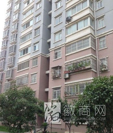 合肥官员被盗百万财物 副厅级官员