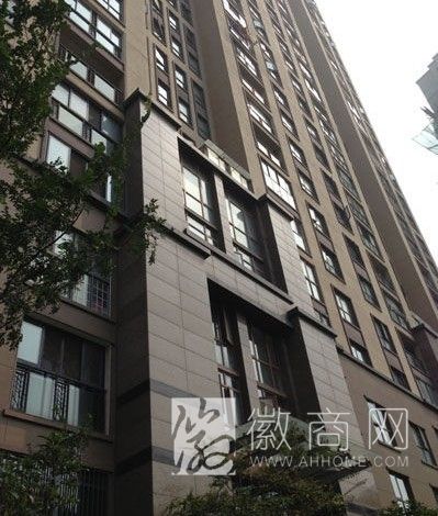 合肥官员被盗百万财物 副厅级官员