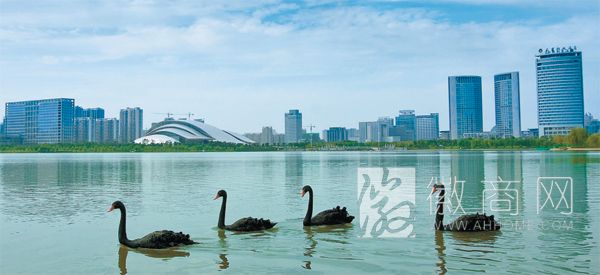 安徽欲打造合肥、<a href='display.asp?id=11916'  target='_blank'>芜湖</a>两大区域性特大城市