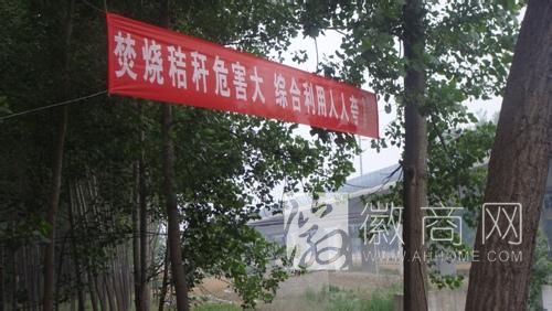 合肥首次秋季秸秆禁烧9月20号启动 为期两个月