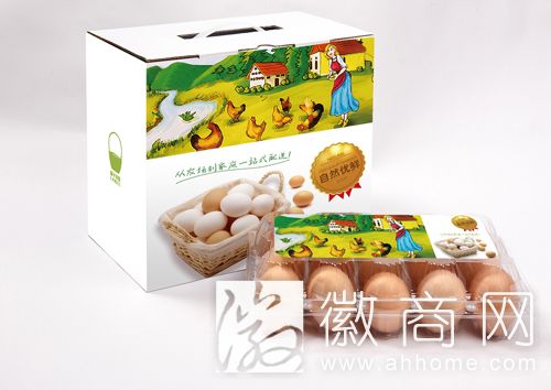 篮子农业有限公司