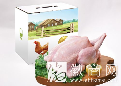 篮子农业有限公司