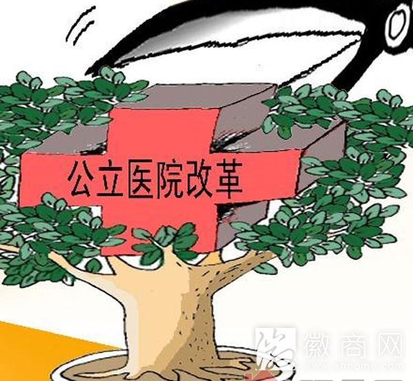今年安徽将全面启动城市<a href='display.asp?id=10304'  target='_blank'>公立医院改革</a> 调整诊查费