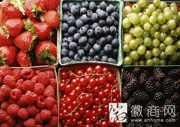 合肥进口水果指定口岸