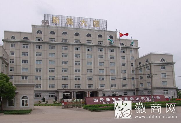 <a href='display.asp?id=8741' target='_blank'>国投新集</a>