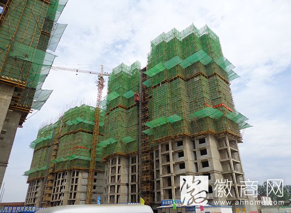 安徽建友公司