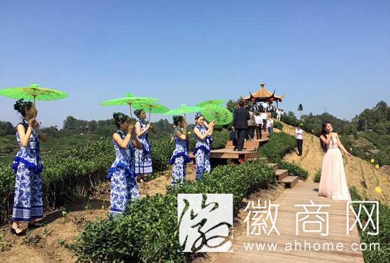 六安茶谷秋茶节