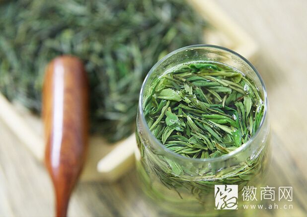 <a href='display.asp?id=12239'  target='_blank'>黄山</a>茶业