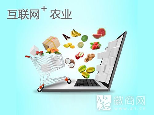 安徽<a href='display.asp?id=8513' target='_blank'>农产品电商</a>平台