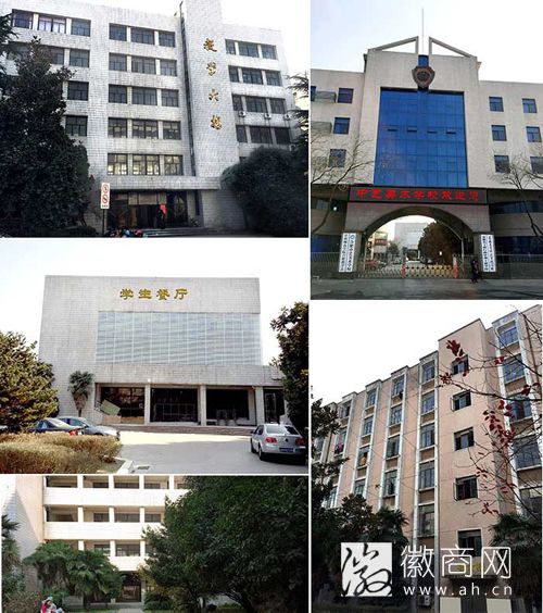合肥中艺美术学校